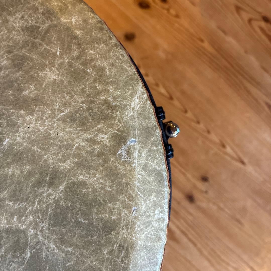 REMO World Percussion 打楽器ジャンベ12インチ