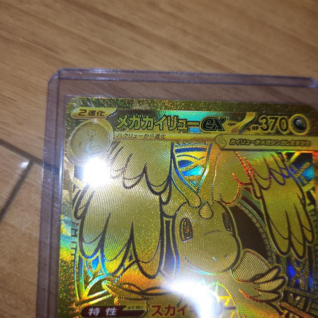 メガカイリューセット(美品)