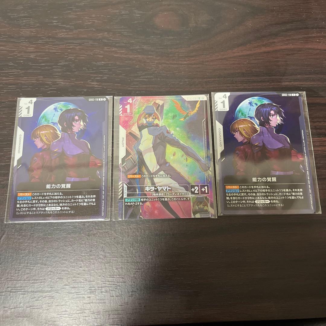 キラ・ヤマト　能力の覚醒　ニュータイプチャレンジ　プロモ　パラレル