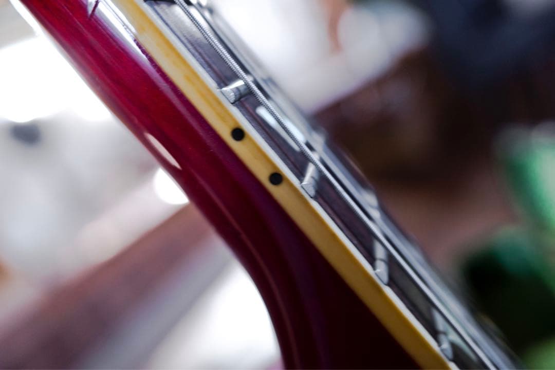 Tokai Reborn Old 1980 /LS-60:LS-80ハイブリッド