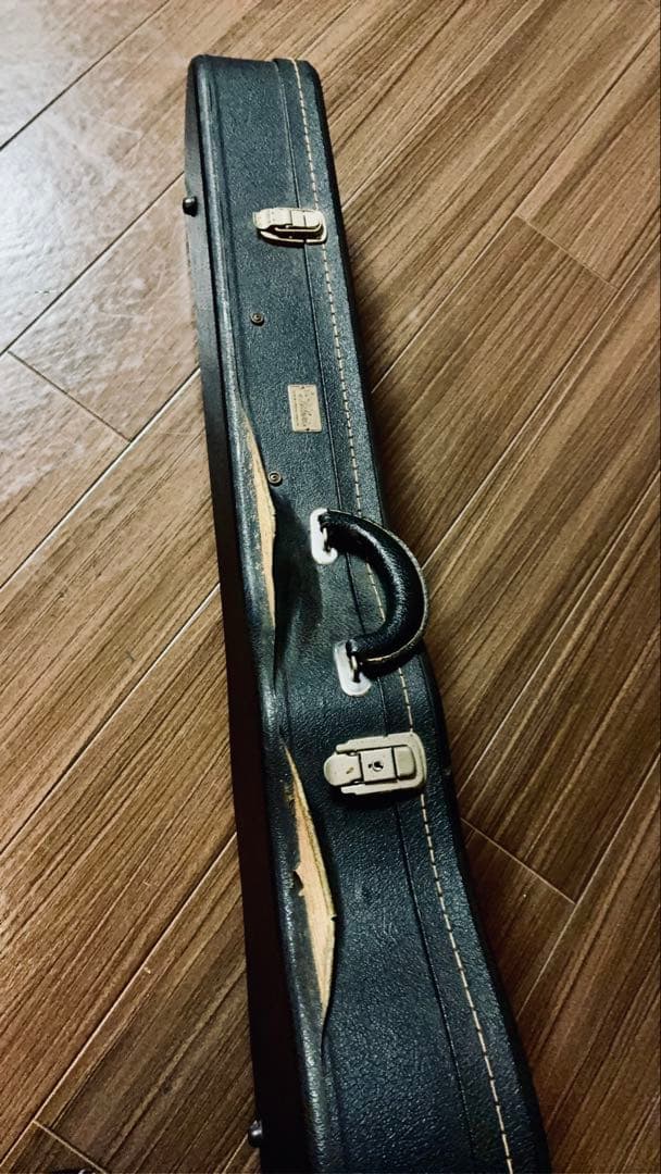 Tokai Reborn Old 1980 /LS-60:LS-80ハイブリッド