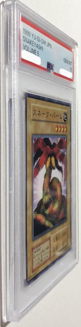 遊戯王 スネーク・パーム PSA10 初期 Vol.5【1999年物】