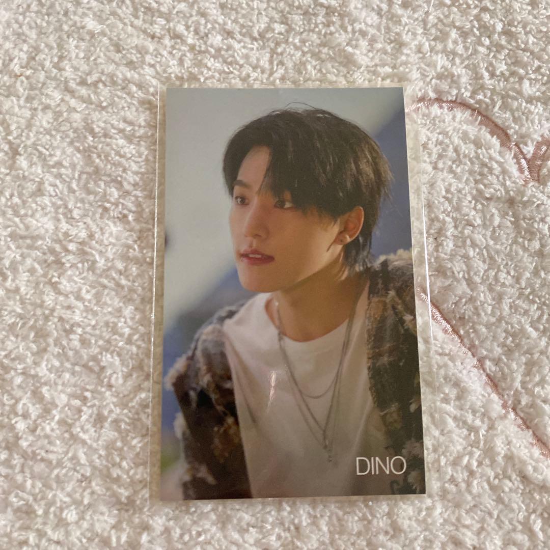 SEVENTEEN セブチ　ディノ　ステッカー