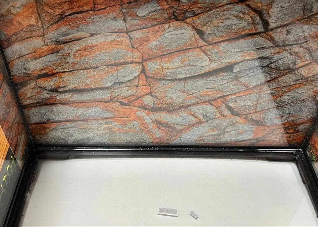 （訳あり品）グラステラリウムPRO4530（PT4403）