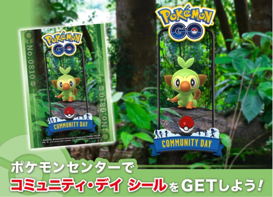 ゆらめくポケモンのひととき メガリザードンX カイリュー