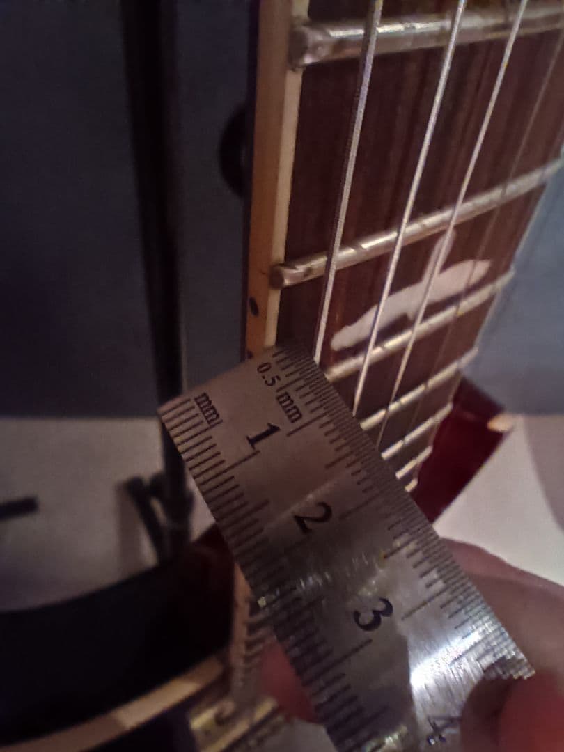 PRS(Paul Reed Smith)◆SE Standard 24