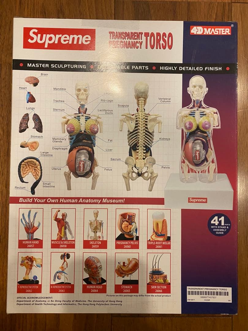 シュプリーム Female Anatomy Model