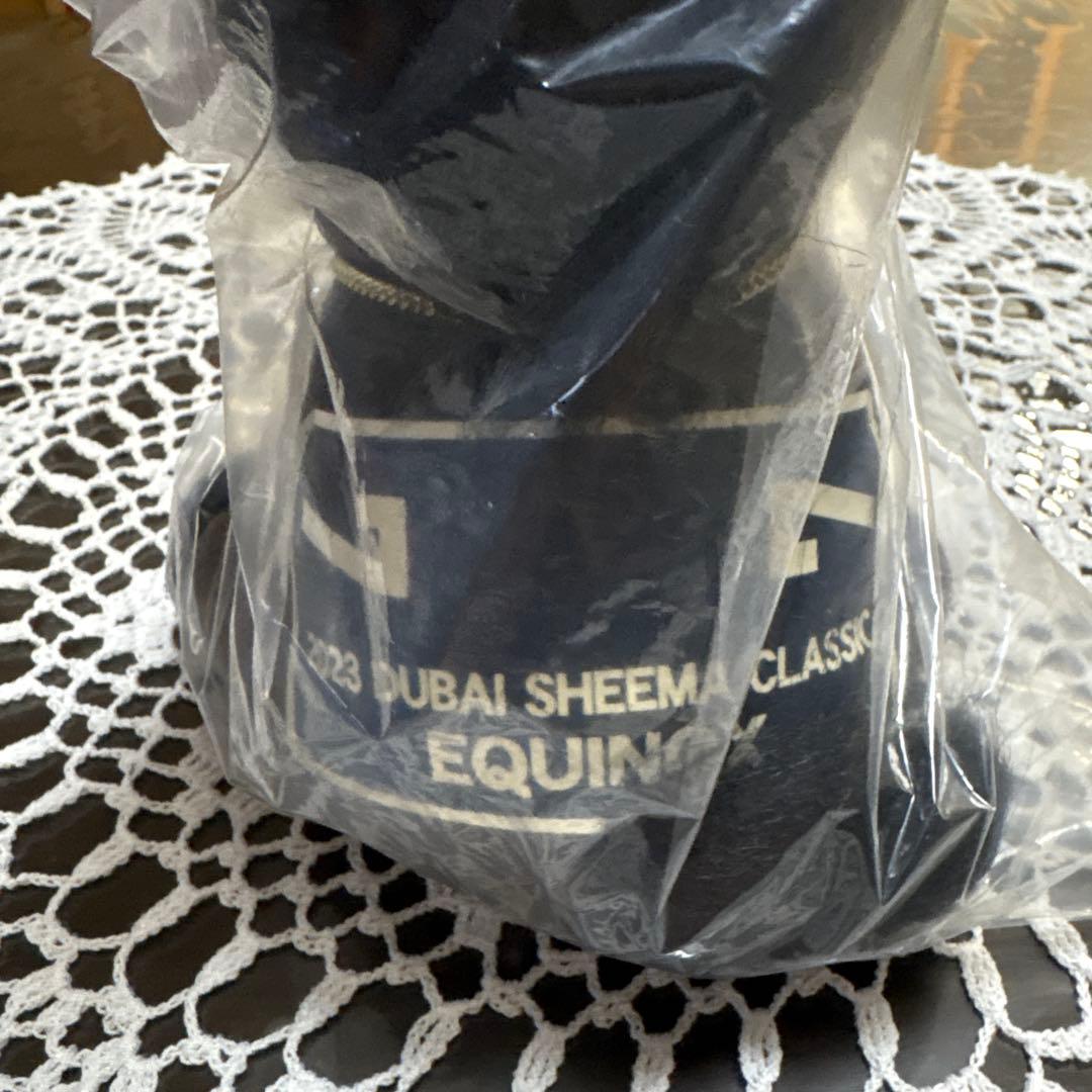 イクイノックス　ドバイシーマクラシック