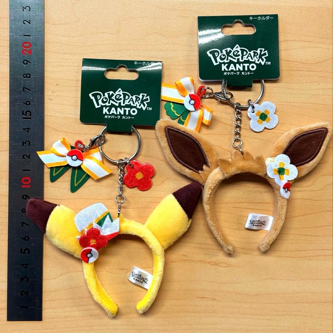 購入制限商品 ポケパークカントー ポケパーク ポケモン イーブイ ピカチュウ