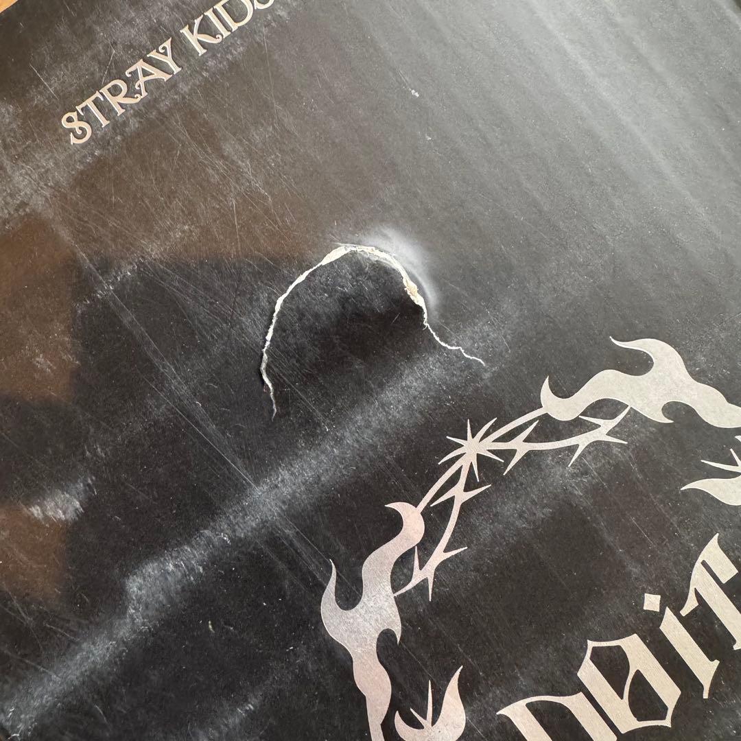 straykids 中国　POPUP SKZOOタンブラー　パピーム　スンミン