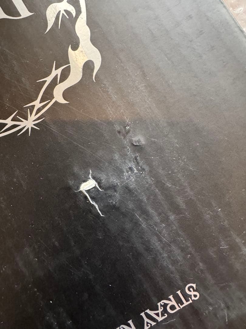 straykids 中国　POPUP SKZOOタンブラー　パピーム　スンミン