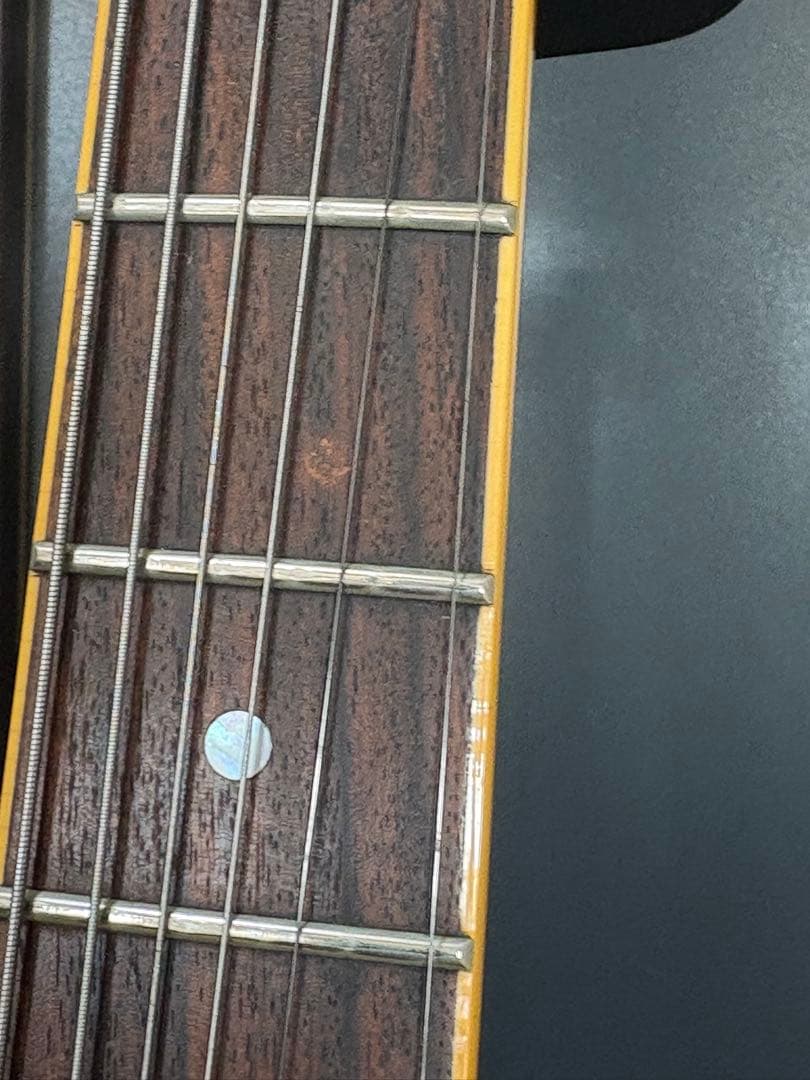 Aria Pro II セミアコースティックギター レッド