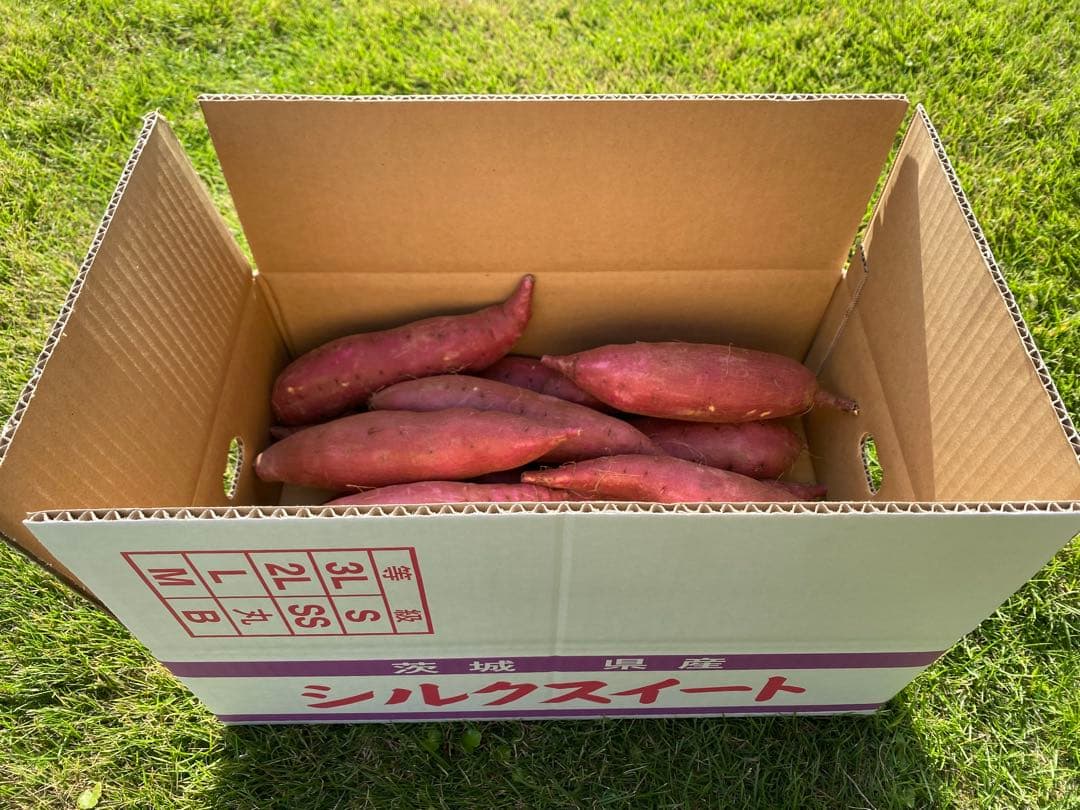 茨城県産紅はるかL60キロ、シルクL20キロ計80キロ　YU品