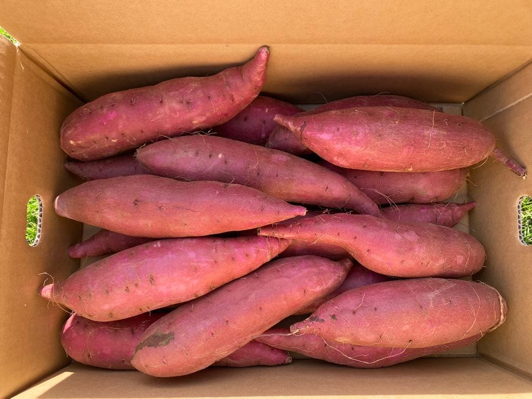 茨城県産紅はるかL60キロ、シルクL20キロ計80キロ　YU品