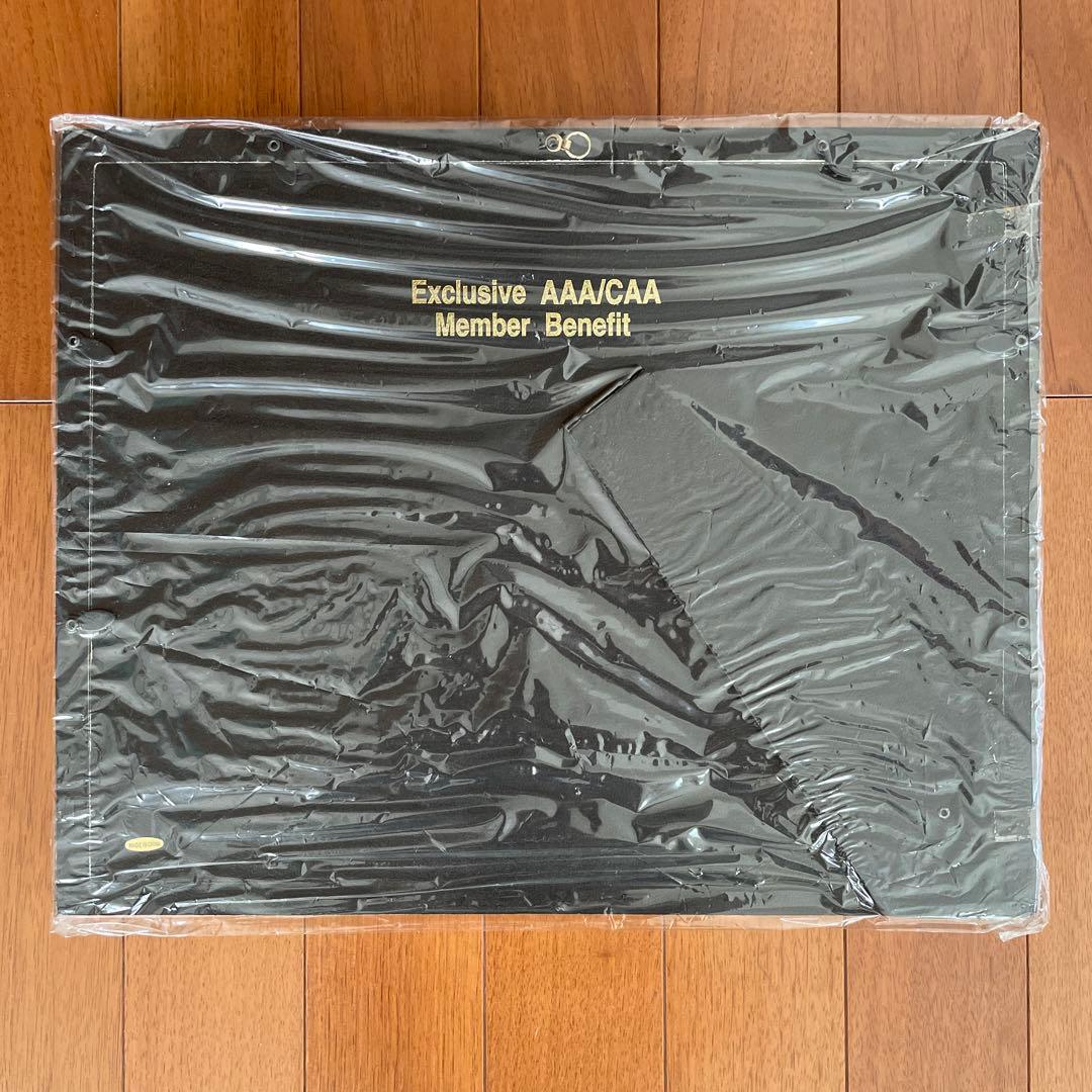 ディズニークルーズ　乗船記念額