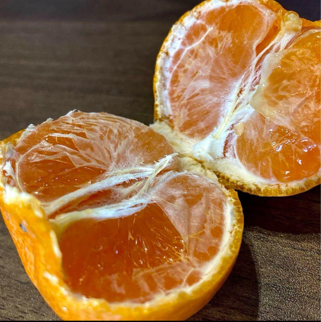 ⑤温州みかん 樹熟大坊みかん 優品(家庭用傷あり)2S、S、10kg