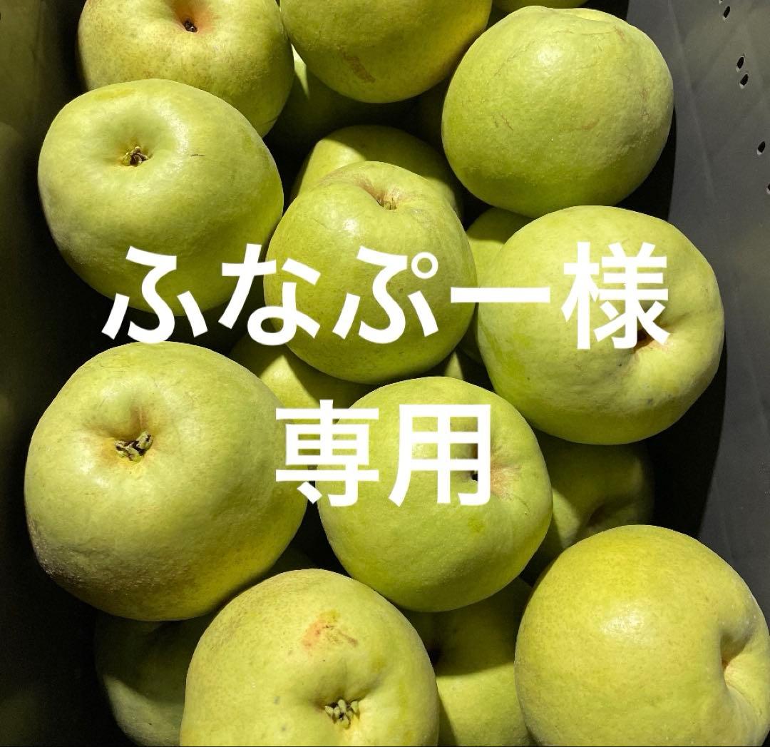 ふなぷー様10キロ