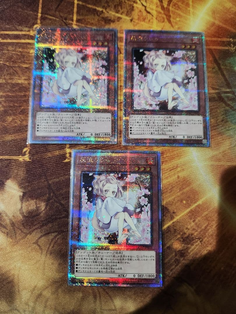 遊戯王　灰流うらら　絵違い　クオシク　25thシークレット　3枚