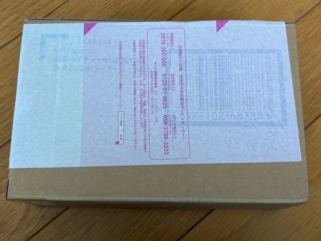 S.H.Figuarts (真骨彫製法) 仮面ライダー1号 (桜島Ver. )