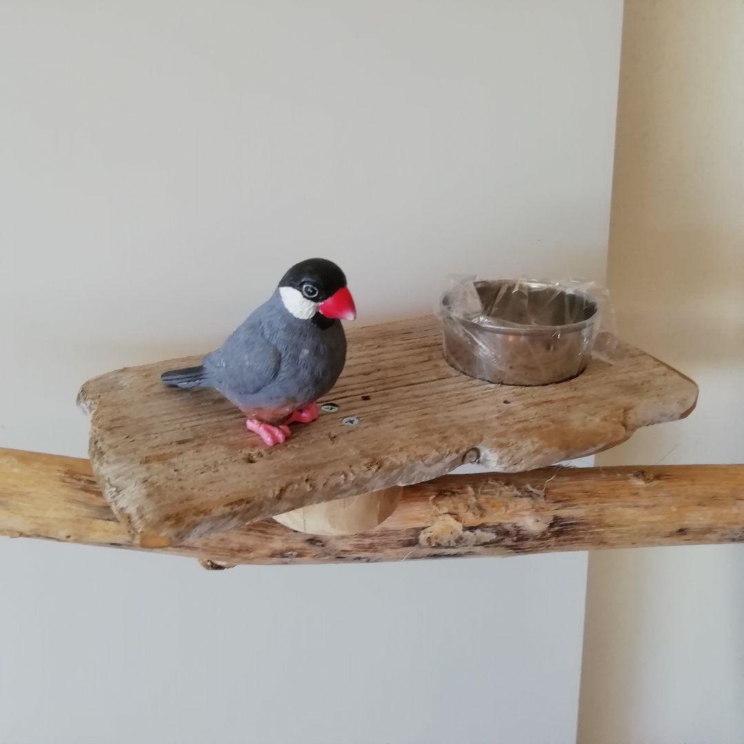 fm バードアスレチックジム 天然木 自然木 流木 止まり木 インコ