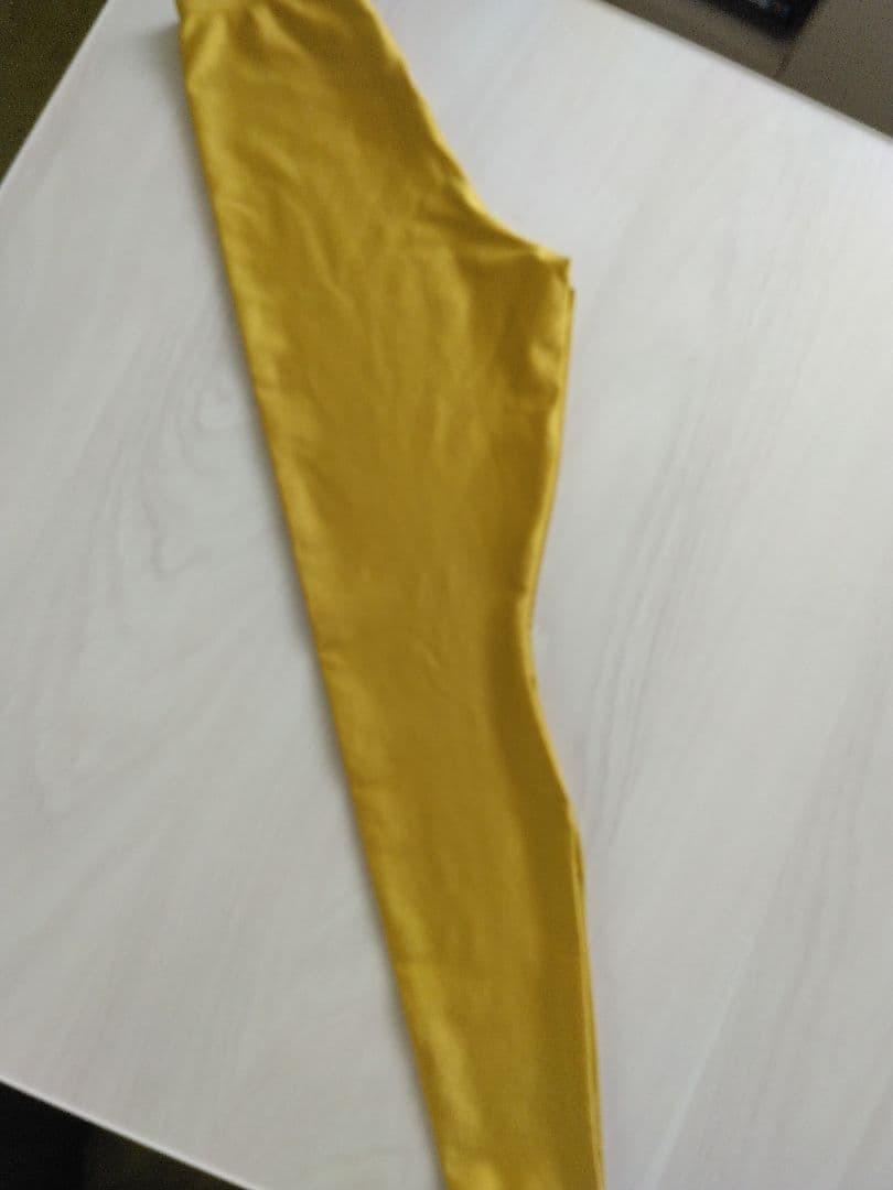 scullのレオタード　chacottのトレンカ サイズM