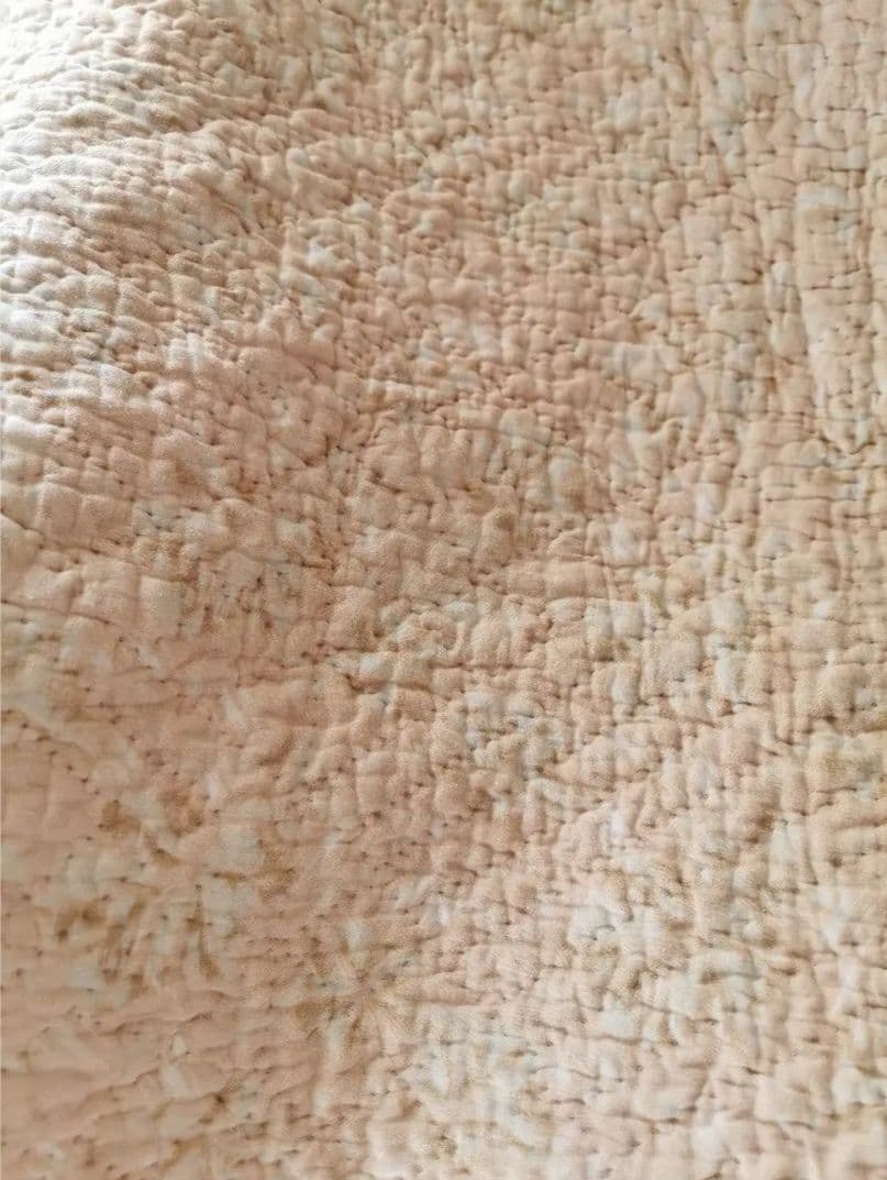 英国アンティーク ウェールズ/ダーラムキルト 肉厚ブティ風 ベージュボタニカル柄