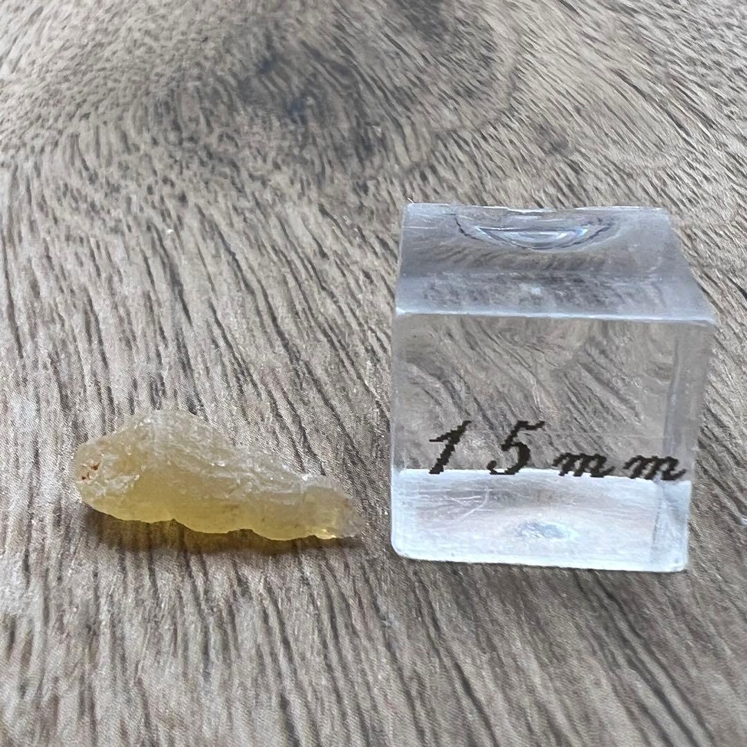 オパライズドシェル オパール 貝 巻貝 鉱物 標本 原石