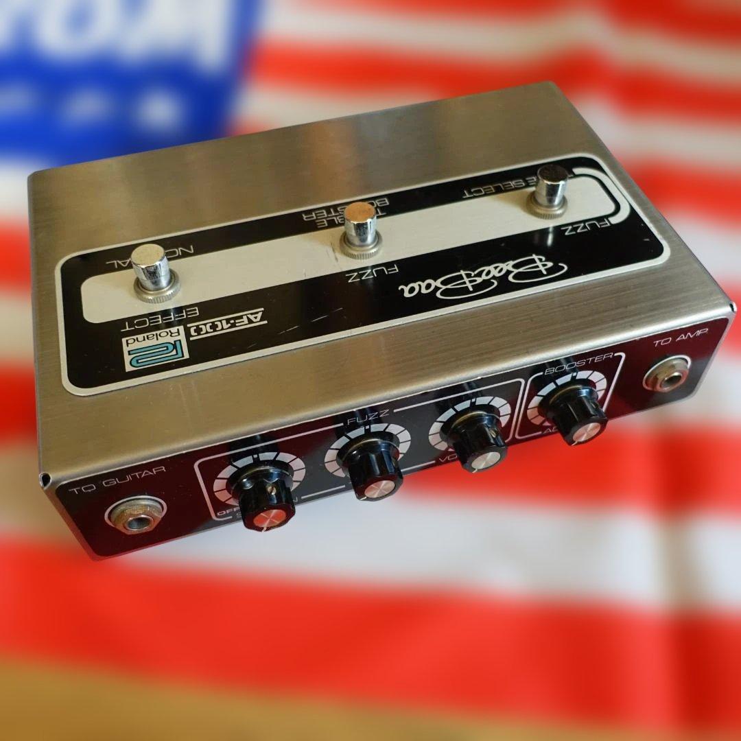 超希少ヴィンテージ「Roland AF-101 Bee Baa」