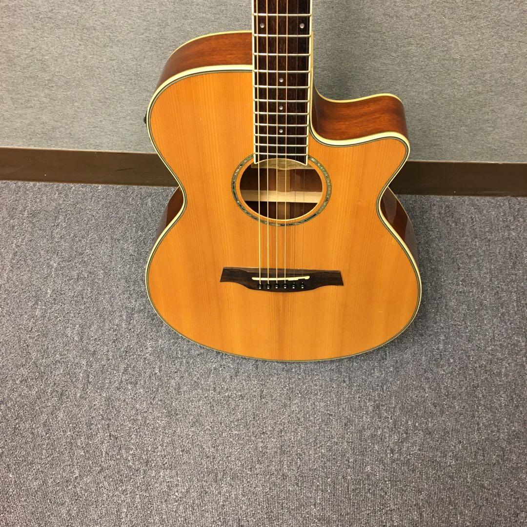 IBANEZ AEG10 ii ギター