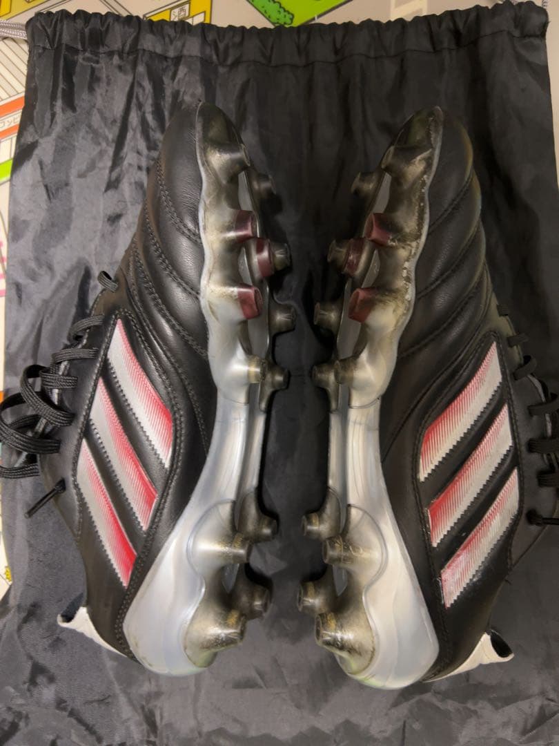 コパアイコン2 Hg 25.0