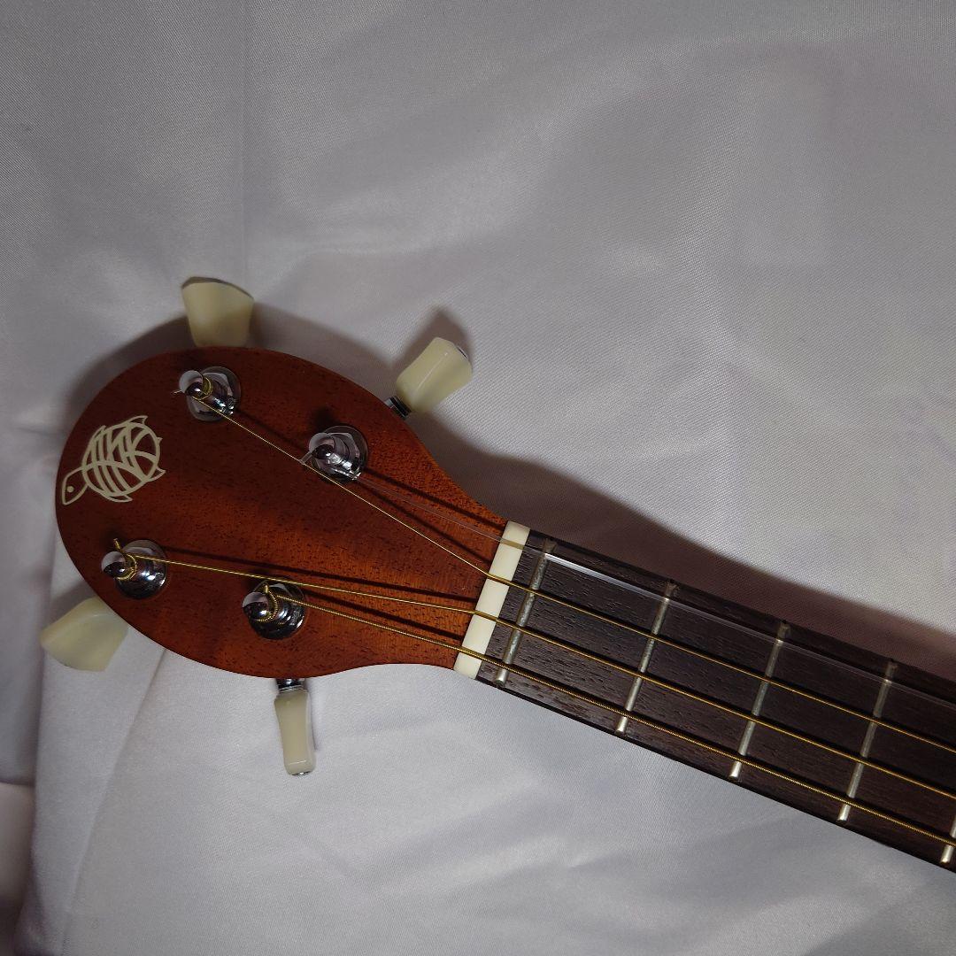 ヤイリギター　一五一会　カナイN　K.Yairi 奏生N　オーナーズカード付き