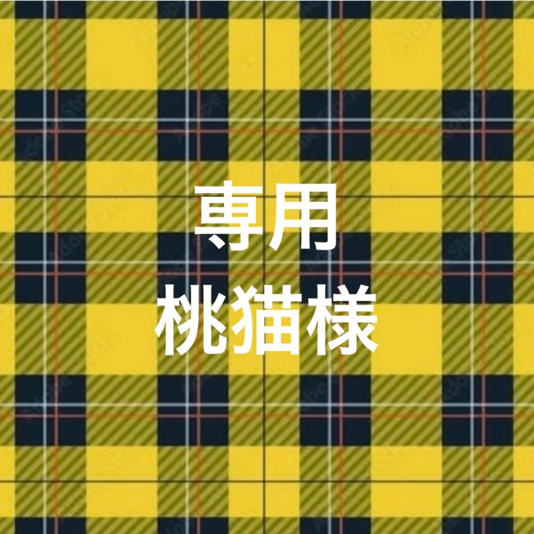 専用ページ 桃猫様2/2