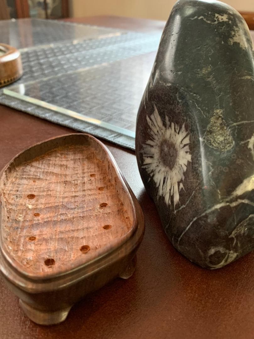 145,000円で購入 菊花石 化石