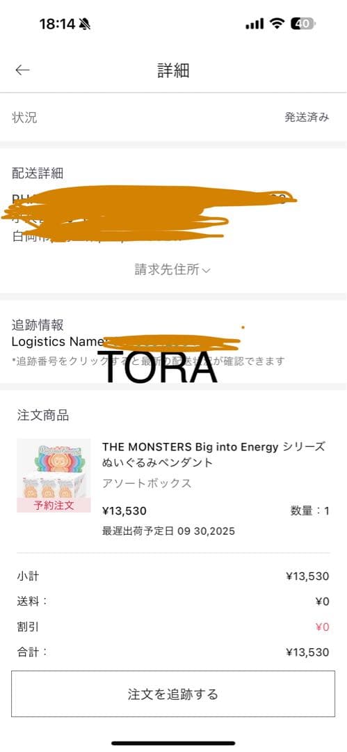 ぬいぐるみ LABUBU THE MONSTERS Big into Energy BOX