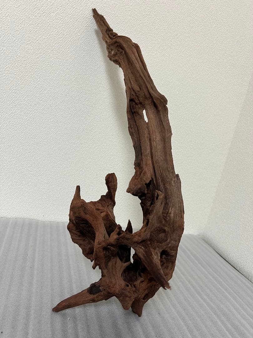 HX-097 流木　マシンガンウッド　ホーンウッド アクアリウム　ブランチウッド