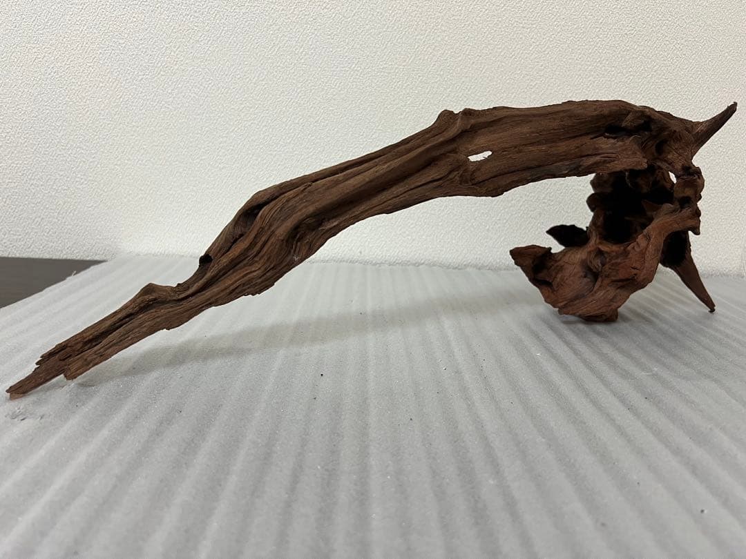 HX-097 流木　マシンガンウッド　ホーンウッド アクアリウム　ブランチウッド