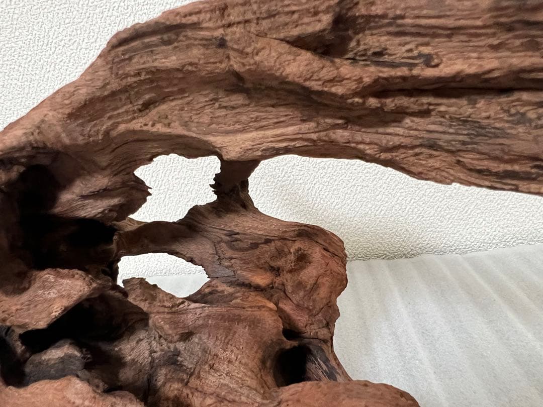 HX-097 流木　マシンガンウッド　ホーンウッド アクアリウム　ブランチウッド