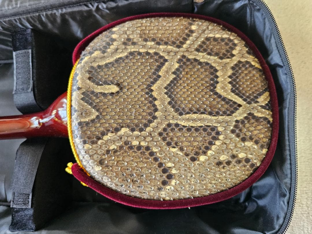 沖縄 三線　蛇皮 ソフトケース、ツメ付き 強化