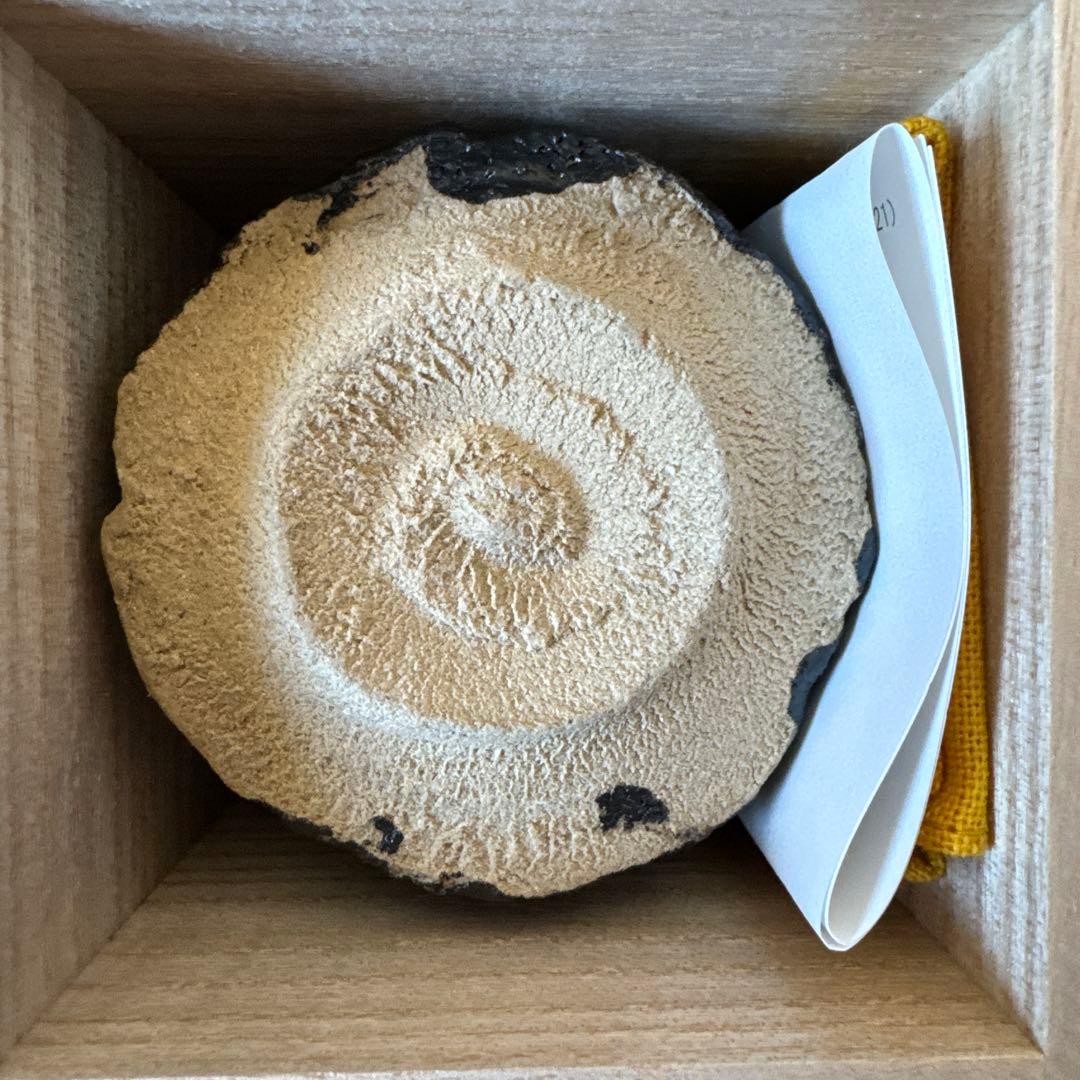 山口真人　瀬戸黒ぐい呑　志野　美濃　酒器　酒碗　新品未使用　真作保証　ぐい呑み