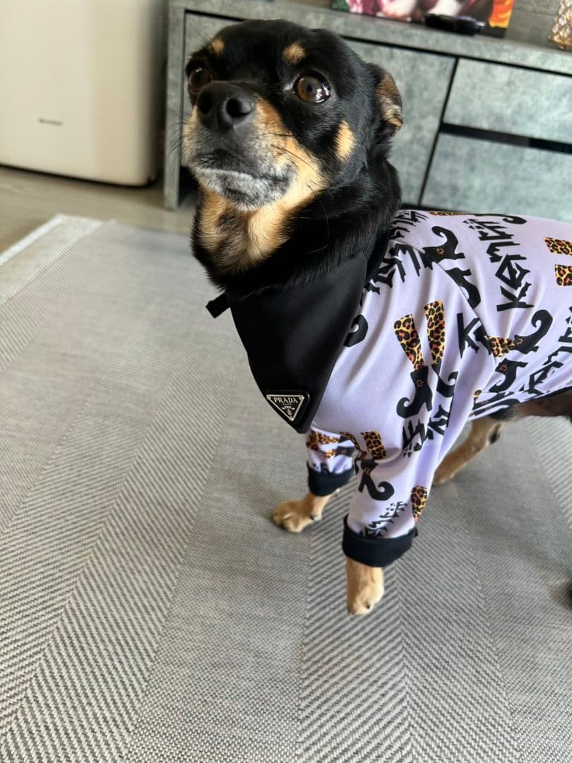 PRADA ナイロン製犬用首輪 黒