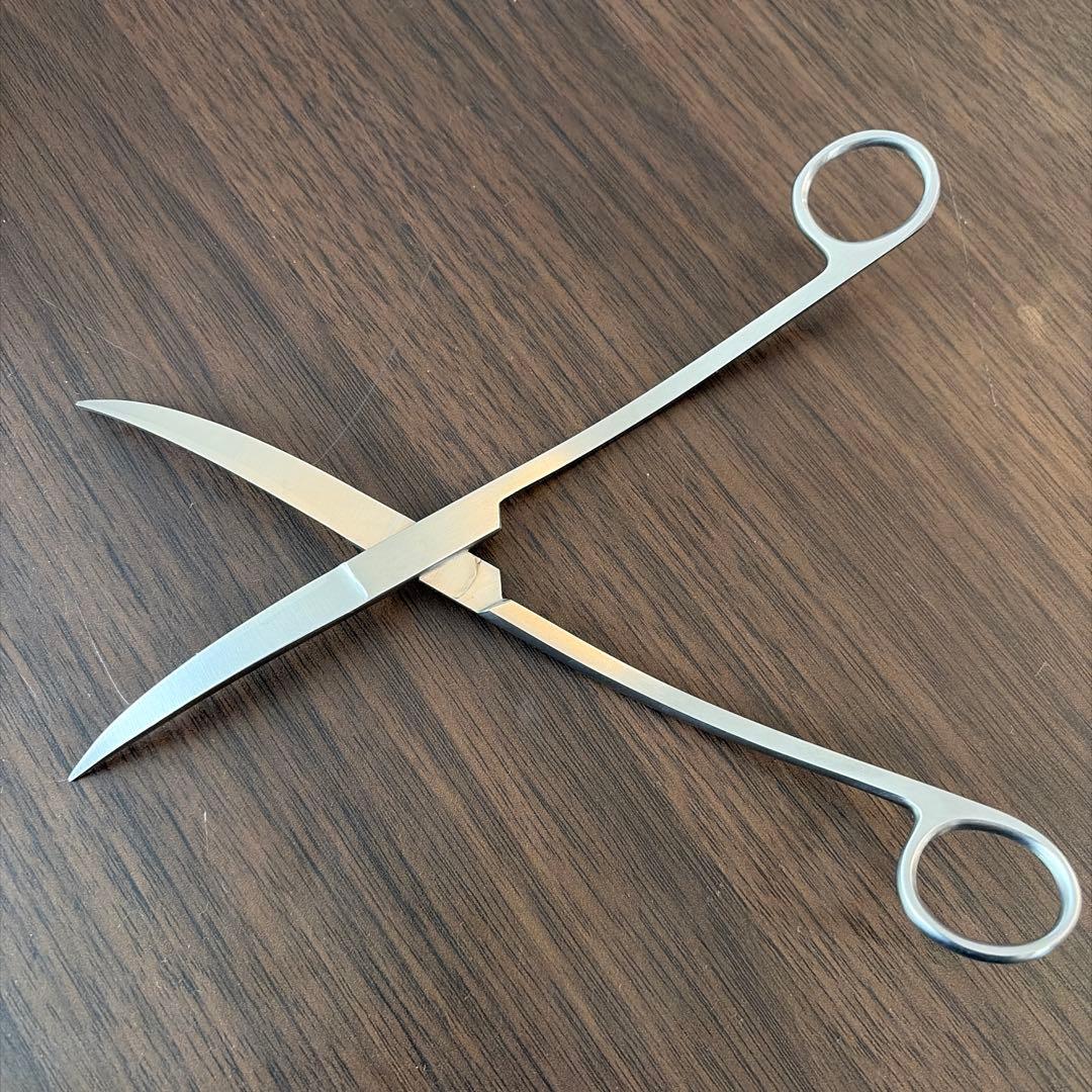 プロシザース・ウェーブ　ADA