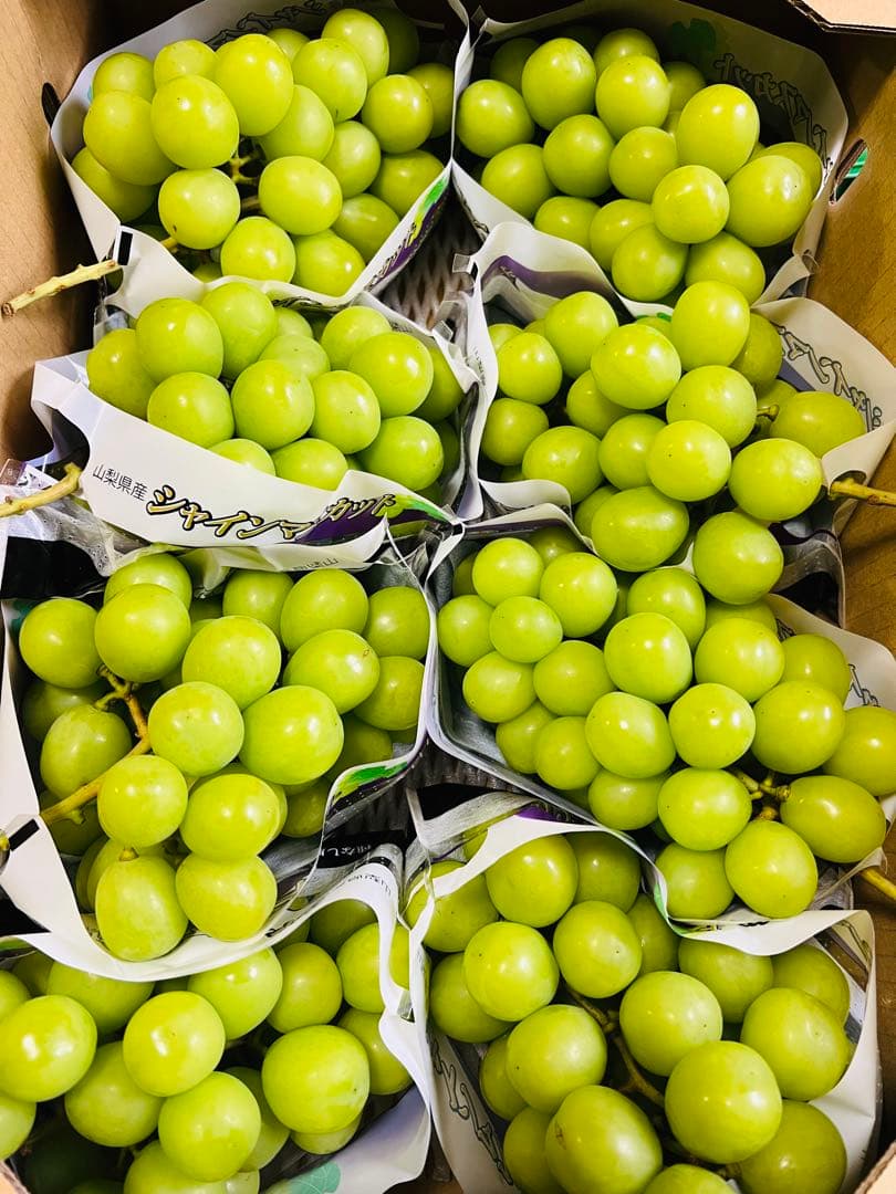 まきちゃん　7〜9房　5キロ