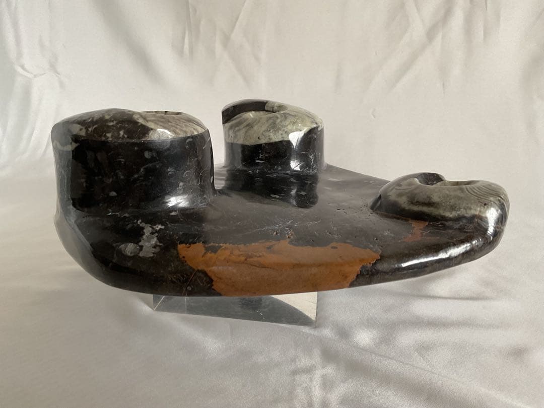 大理石アンモナイト化石の装飾/手彫り