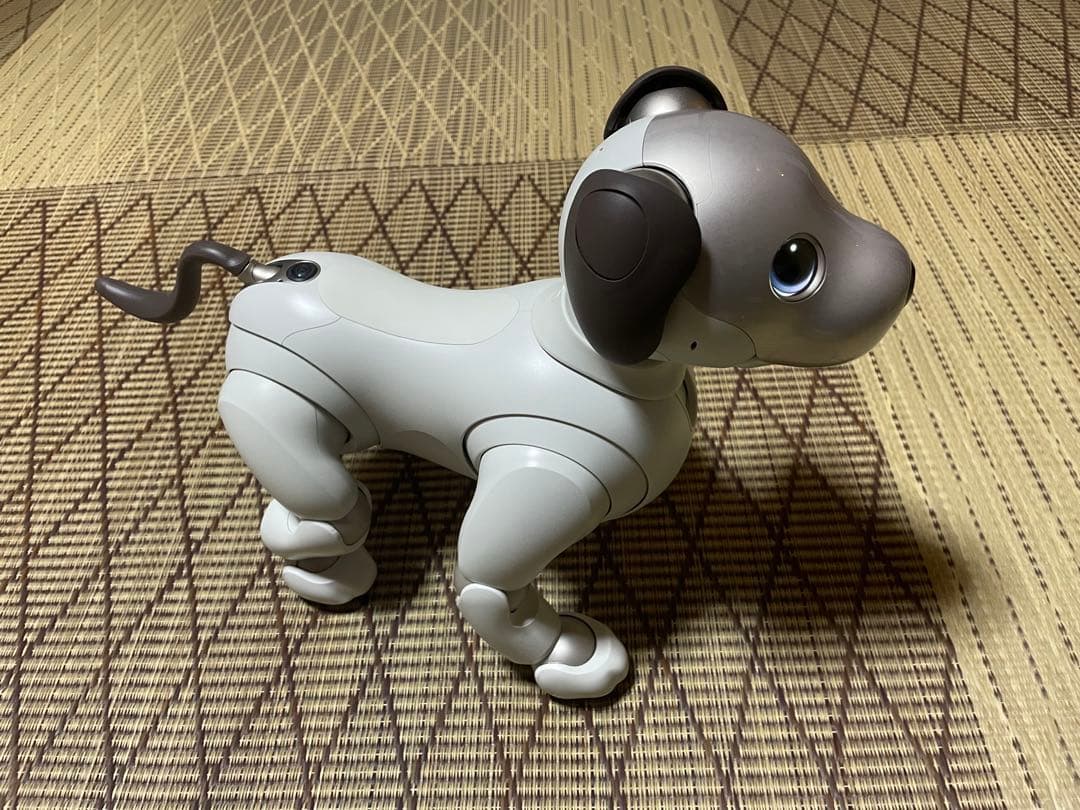 Sony aibo ERS-1000 aibo（アイボ）