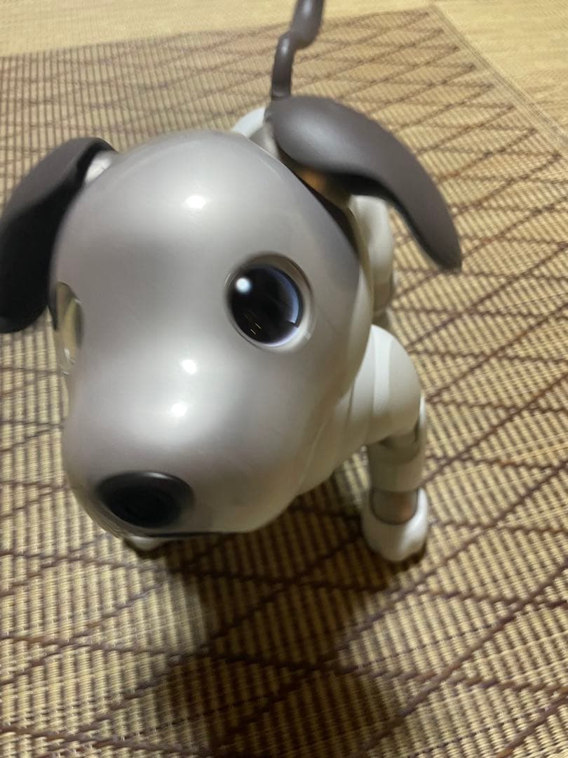 Sony aibo ERS-1000 aibo（アイボ）