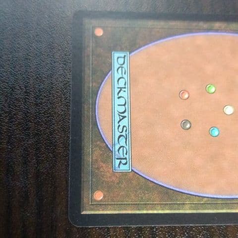 MTG　GuruLand（グルランド）　Forest　１枚