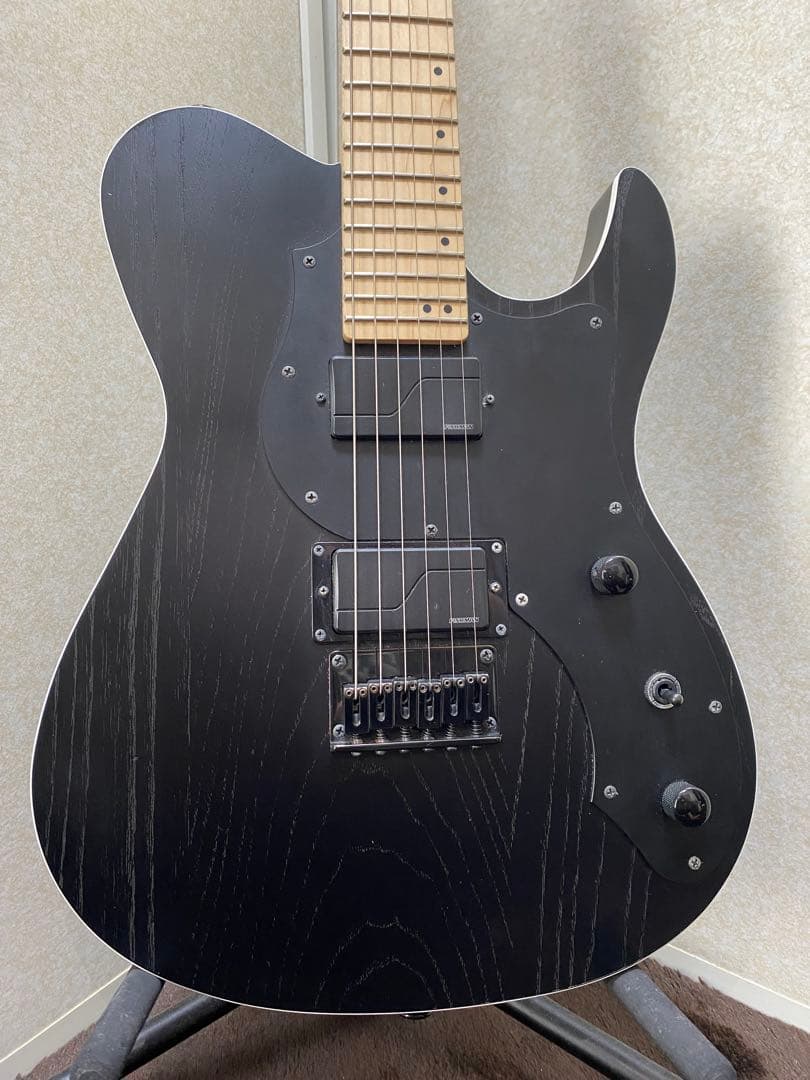 フジゲン FGN FUJIGEN JIL2-ASH-DE-M エレキギター