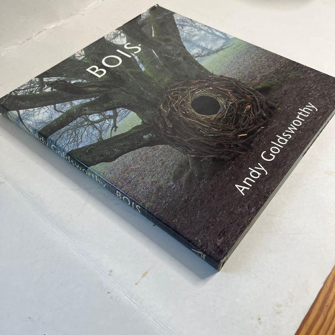 現代美術家アンディゴールズウォスリイ写真集　 ボイス