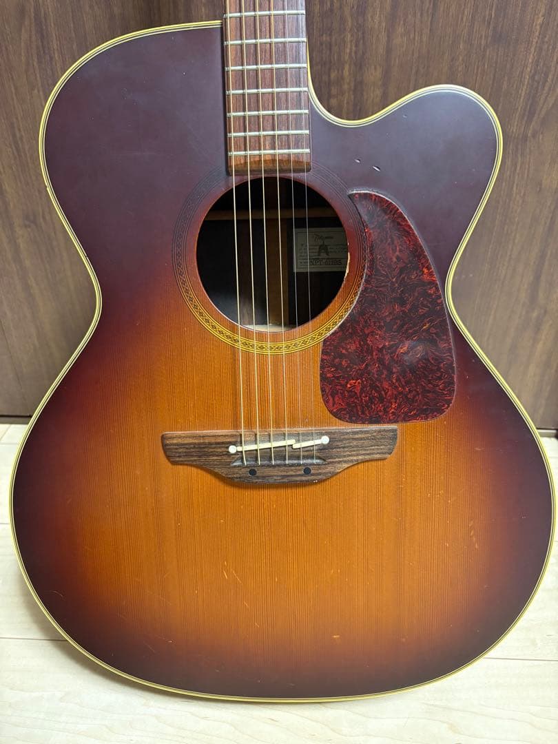 タカミネ　アコースティックギター　NPT-012BS