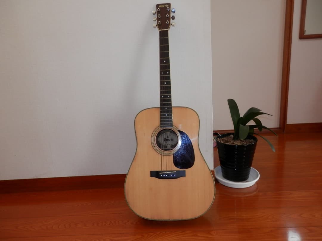モーリス W-30 アコースティクギター